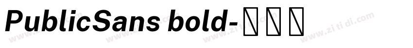 PublicSans bold字体转换